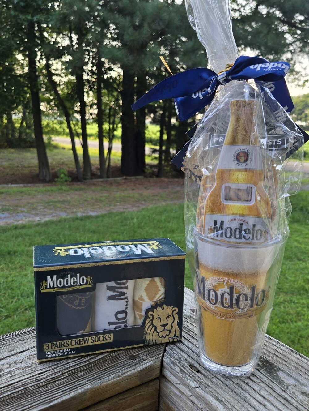 Modelo Cheers Pint Glass And Socks Gift Set